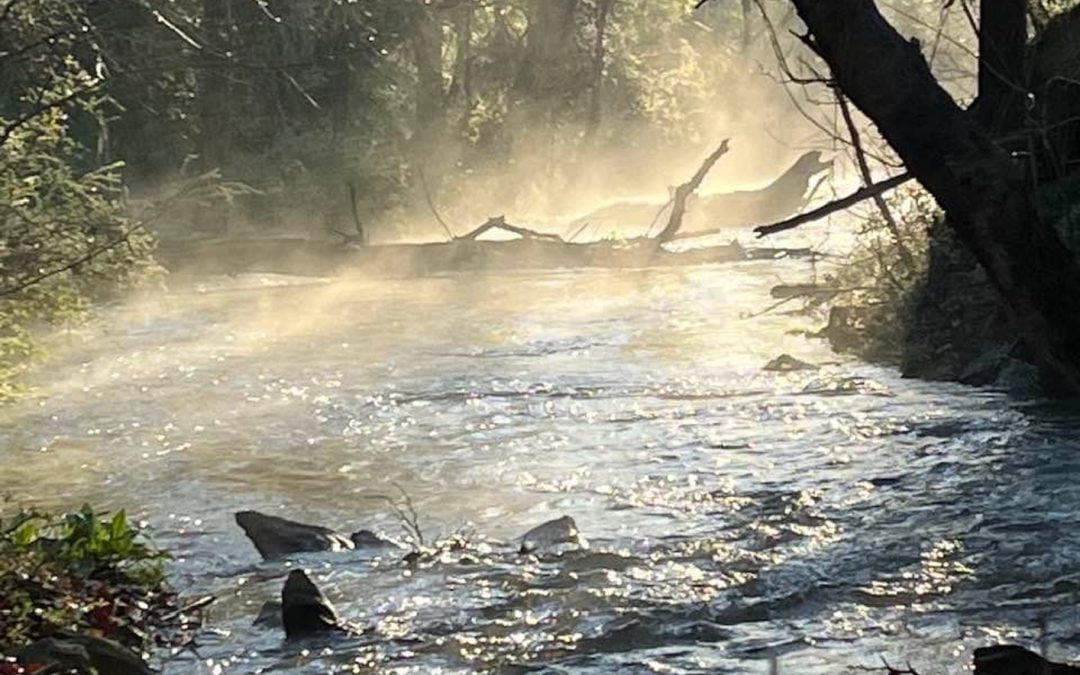 Spirit of Jefferson: High levels of human, animal waste contaminating Shenandoah and its tributaries